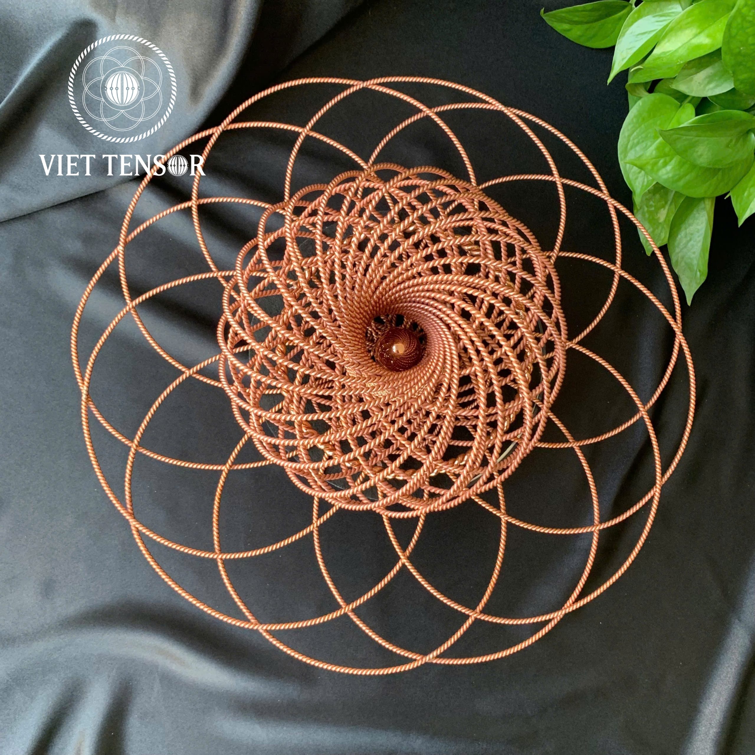 Torus incorporates the flower of life