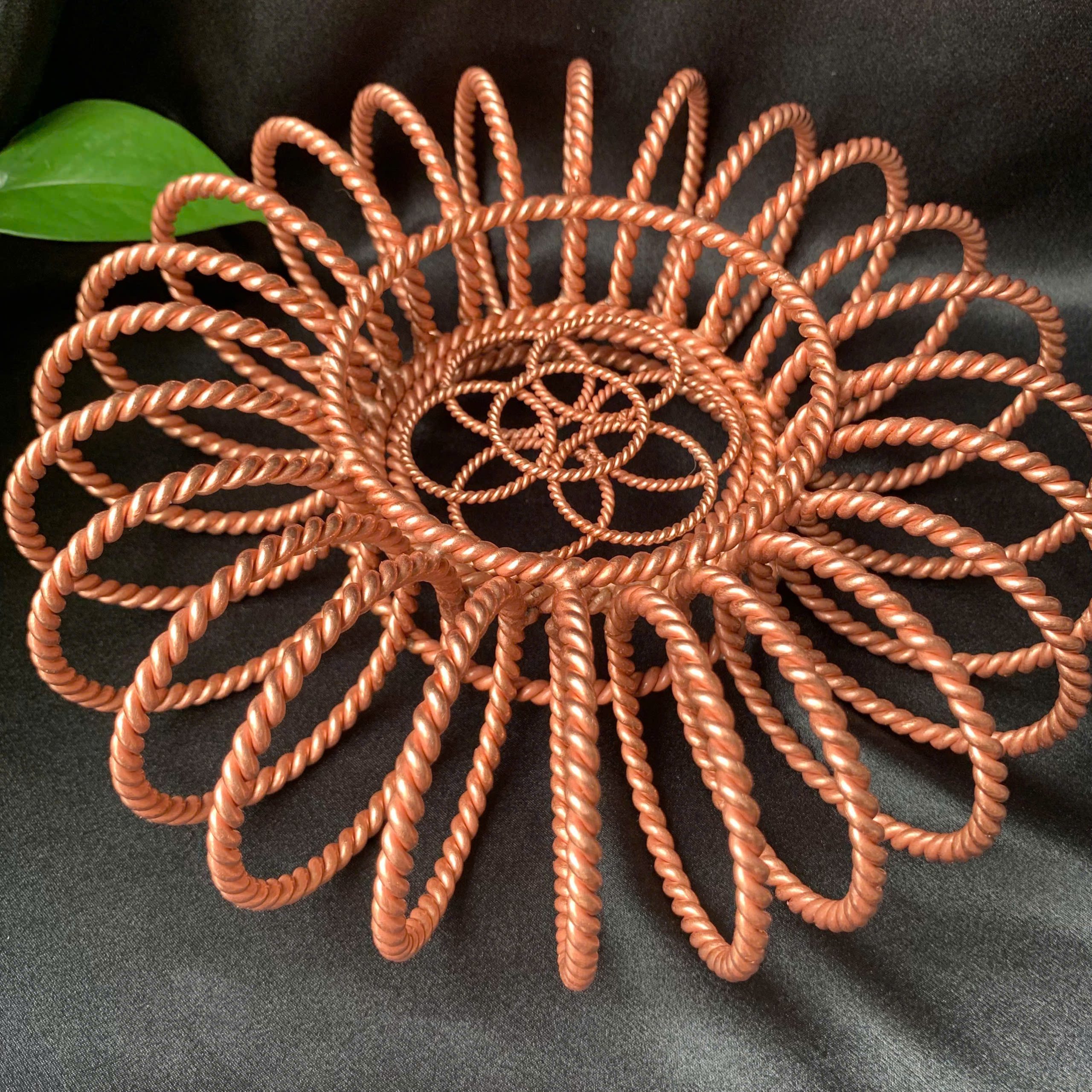 Torus size perimeter 78cm