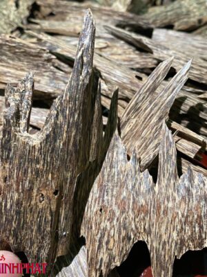 TRẦM KIẾN TỰ NHIÊN