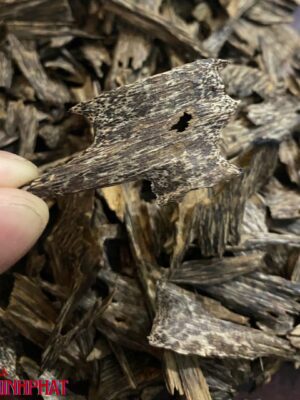 TRẦM KIẾN CHÌM TỰ NHIÊN