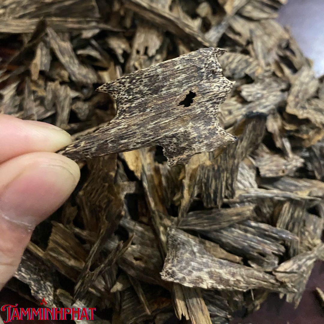 TRẦM KIẾN CHÌM TỰ NHIÊN