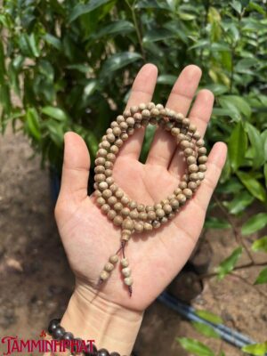 6ly 108 hạt tốc kiến Bình Phước (Đồng Nai)