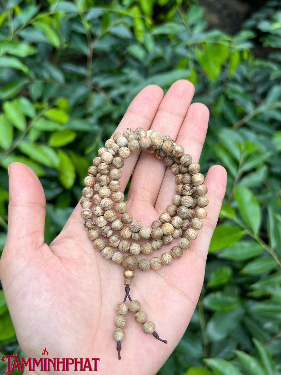 Sợi trầm kiến cực kỳ đẹp