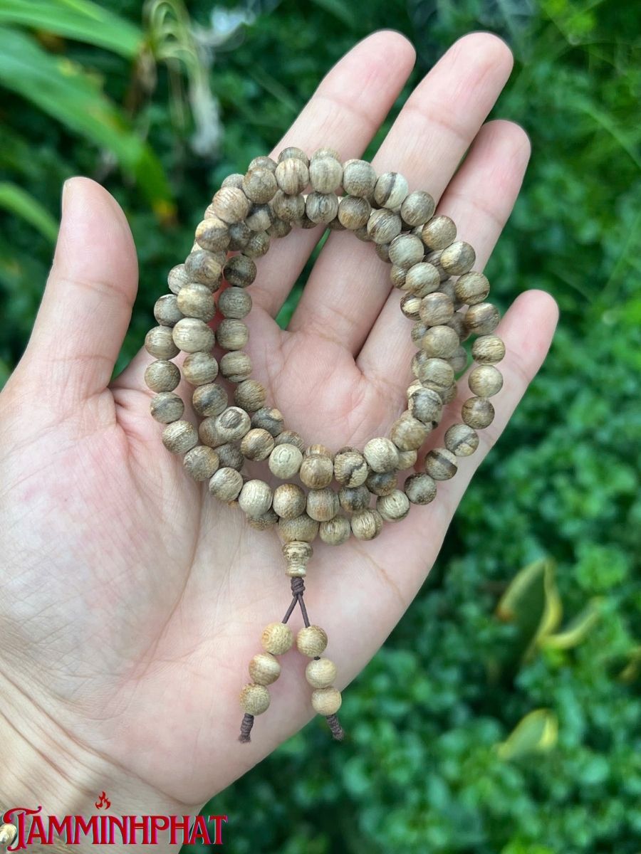 7ly 108 hạt tốc sinh học lựa quầng