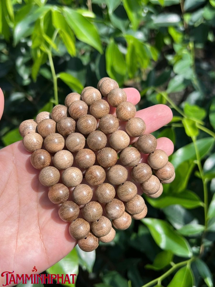 Lô vòng 12 ly tốc vườn