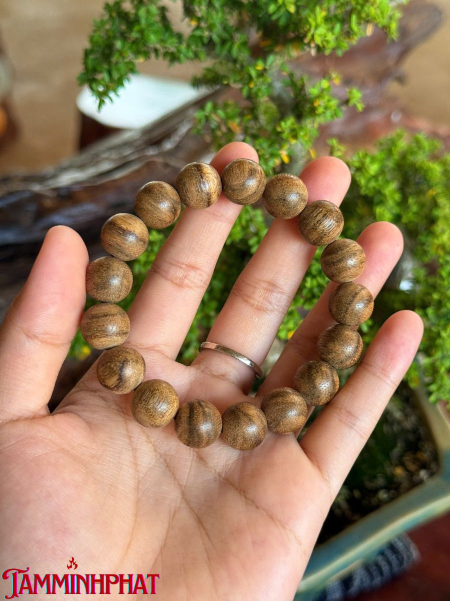 Banh đỏ Thái Lan 12ly